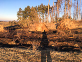 14.jpg / Požár lesa na Šanoříně
