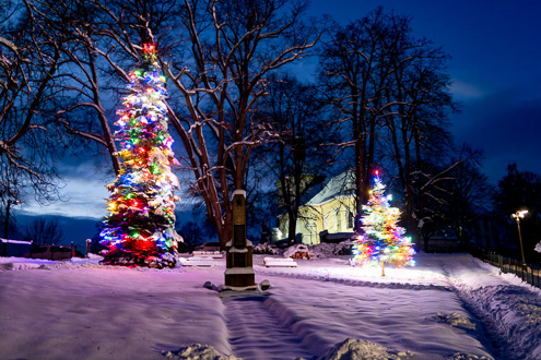 37.jpg / Rozsvícení vánočního stromu 3. prosince